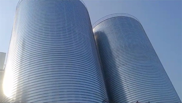 日土2座混凝土高架卷板仓